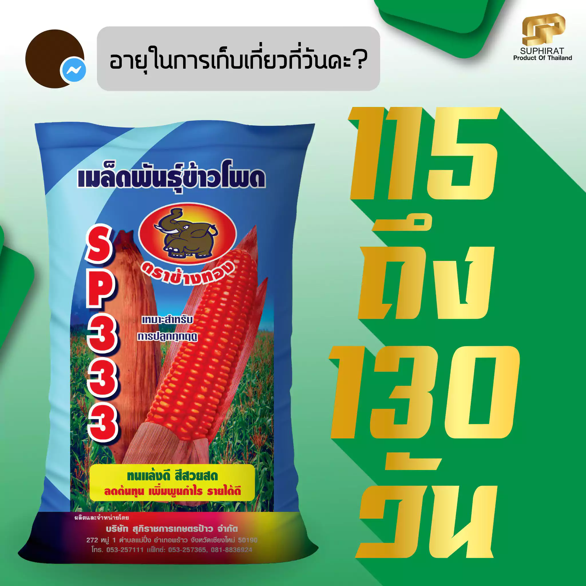 เมล็ดพันธุ์ข้าวโพด SP-333 5กก. - Image 2