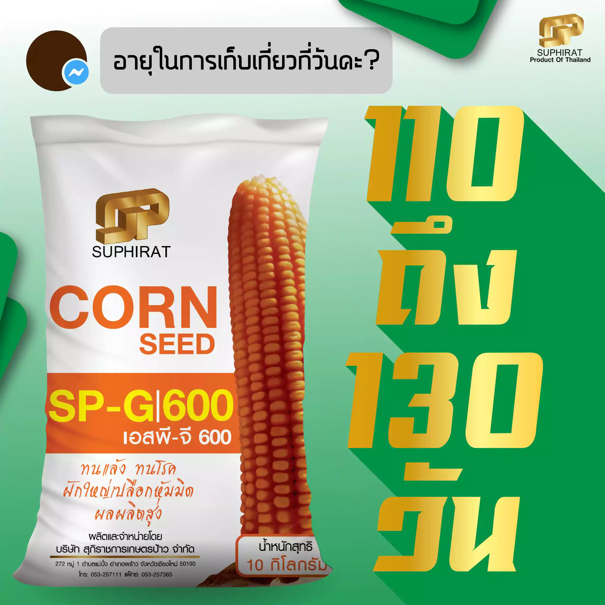 เมล็ดพันธุ์ข้าวโพด SP-G600 5กก. - Image 2