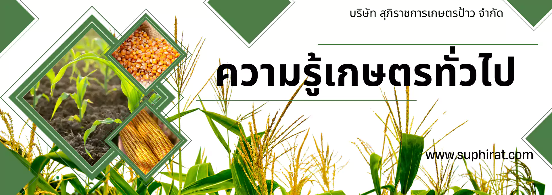 ความรู้เกษตรทั่วไป