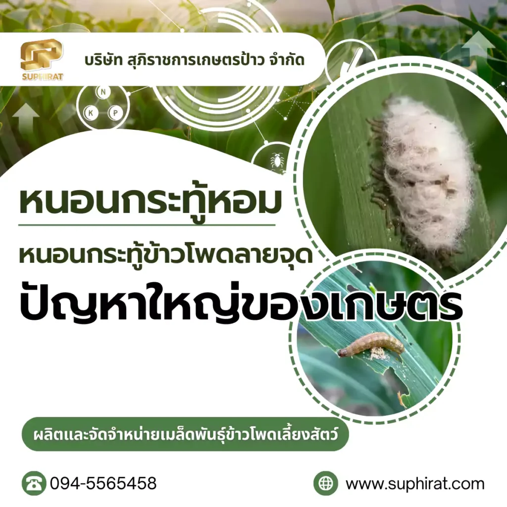 ปัญหาใหญ่ของเกษตรกร