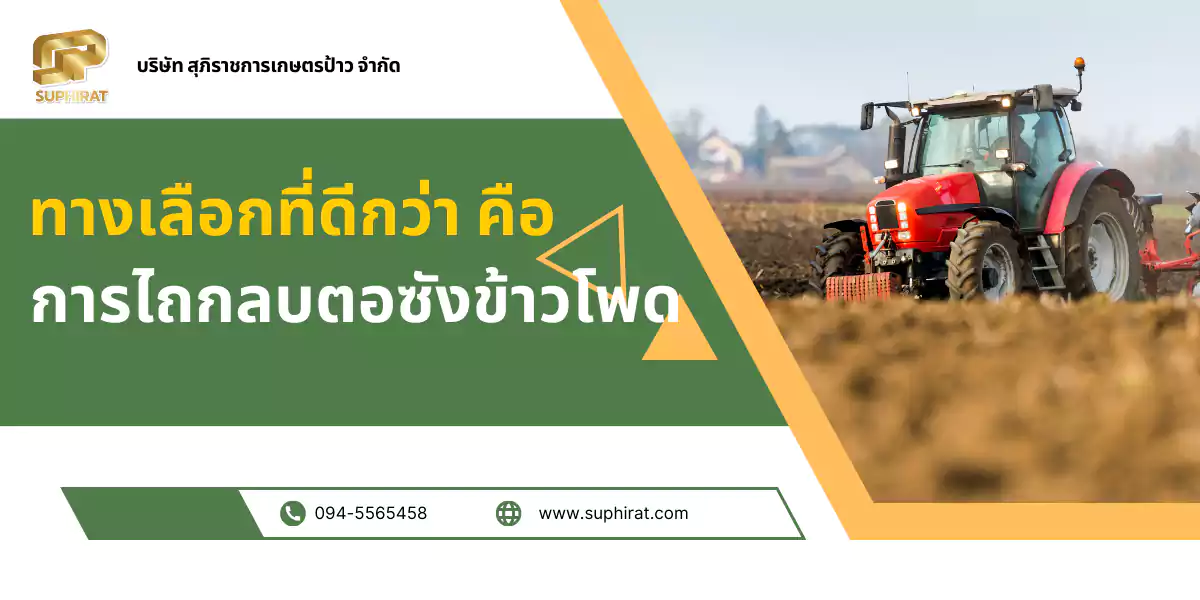 ไถกลบตอซังข้าวโพด ทางเลือกที่ดีกว่า