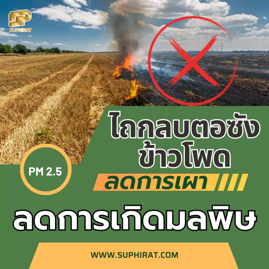 ไถกลบตอซังข้าวโพด ลดการเกิดมลพิษ