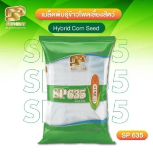 เมล็ดพันธุ์ข้าวโพด SP-635